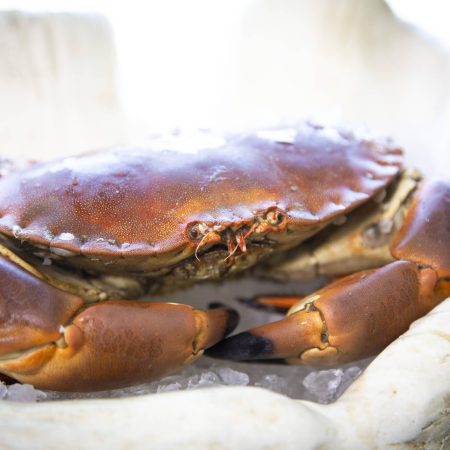 Whole Cooked Crab (Ready to Eat)