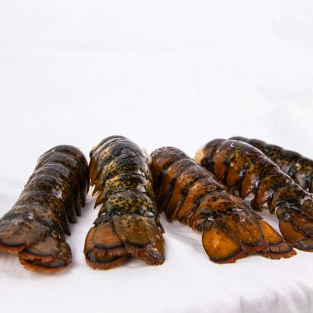 Cooked Lobster Tails