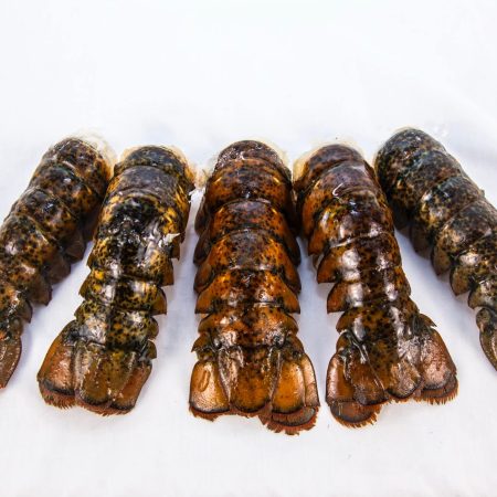 Cooked Lobster Tails